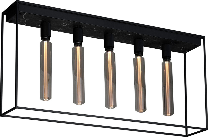 Caged Ceiling 5.0 - Satin Black Marble, Buster Bulb Tube