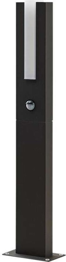 Virgalia LED-gatelampe, 65 cm med sensor
