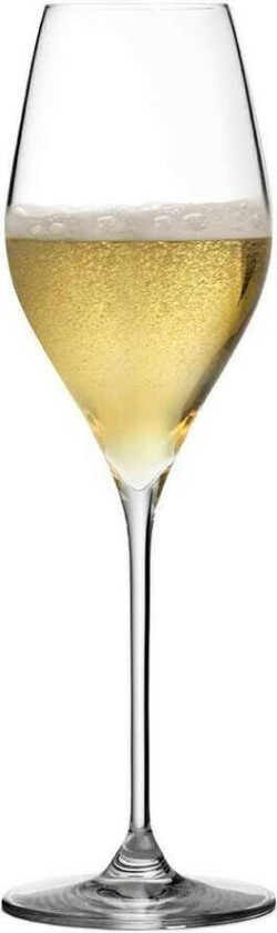 Champagneglass - Bacci - Urban Bar