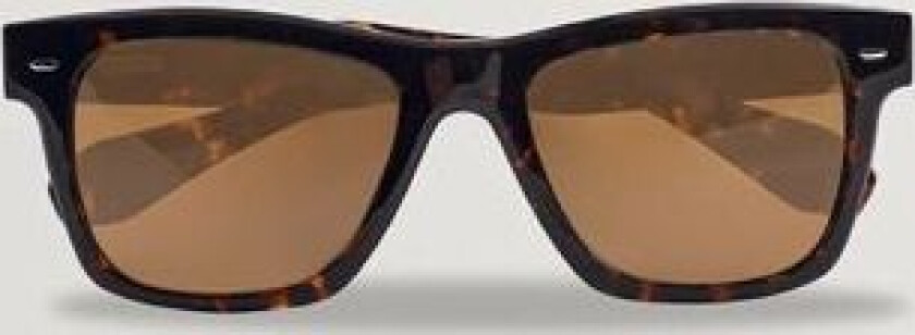 No.4 Polarized Sunglasses Atago Tortoise