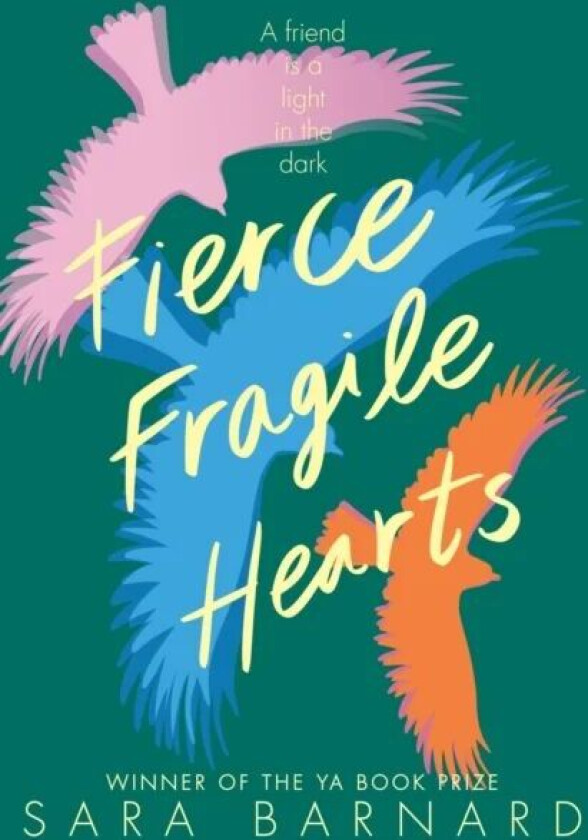 Fierce Fragile Hearts av Sara Barnard