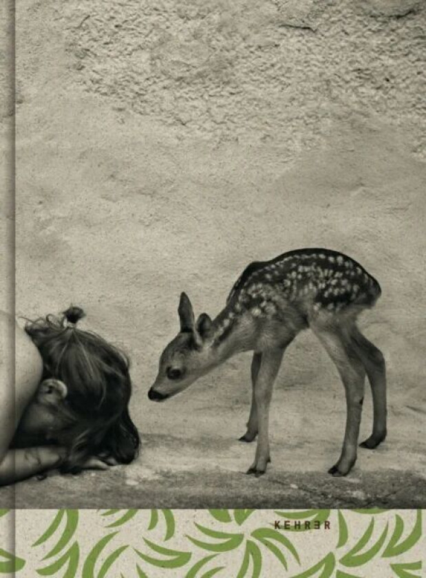 Summer Of The Fawn av Alain Laboile