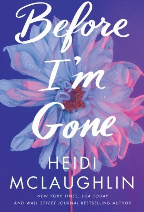 Before I'M Gone Av Heidi Mclaughlin