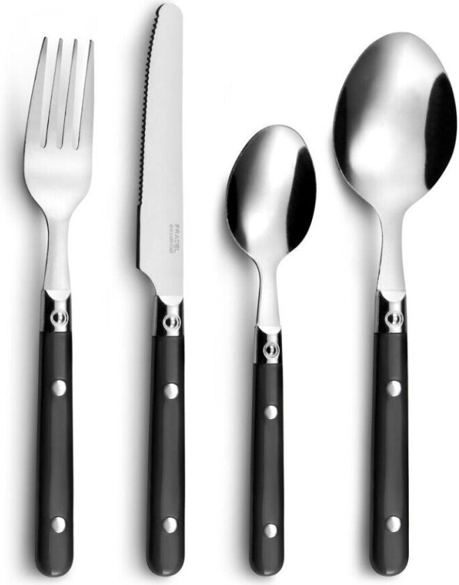 Bestikk-sett Amefa Saxo Metall Flerfarget 16 Deler (25 cm)