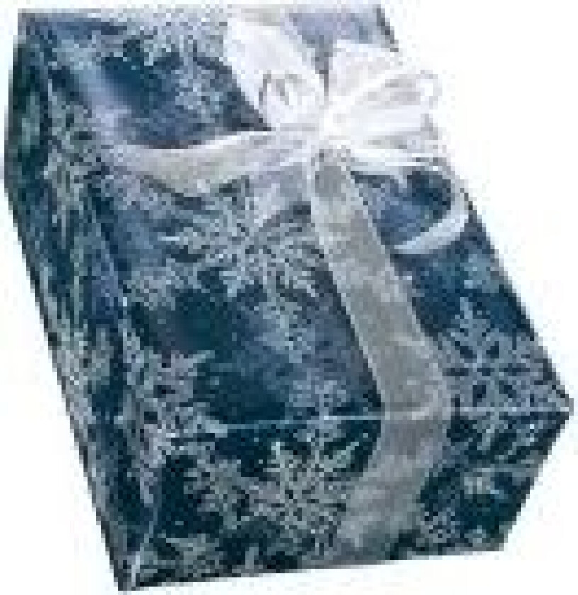 Christmas - Gavepapir - 70 cm x 5 m - 80 g/m² - frostnatt - papir