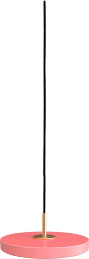 - Asteria Micro V2 Pendel Rose Umage