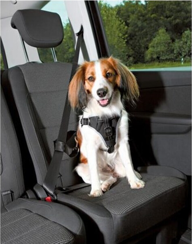 Comfort car harness L: 65-80 cm/23 mm black