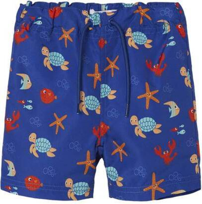 Name It Zeus Badeshorts Til Småbarn, Surf The Web