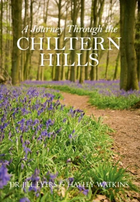 A Journey Through the Chiltern Hills av Jill Eyers, Hayley Watkins