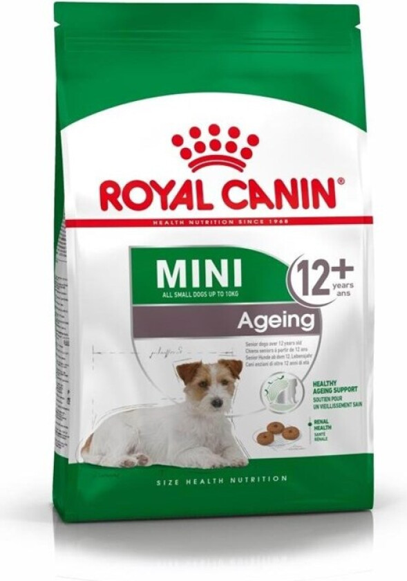 Royal Canin Dog Mini Ageing +12 (3,5 kg)