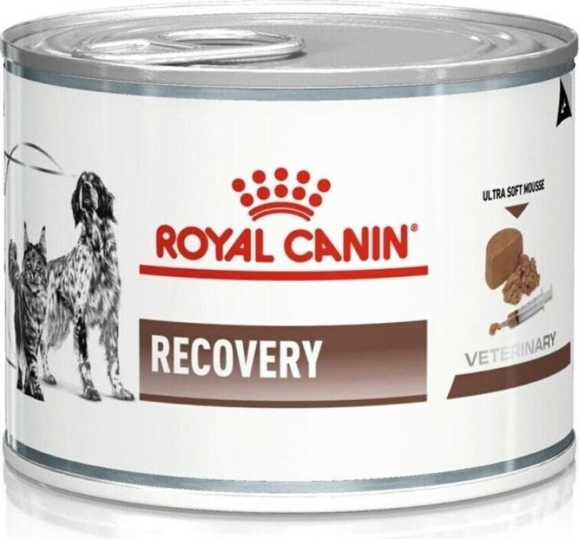 Rc Recovery (Hund /katt) 195g