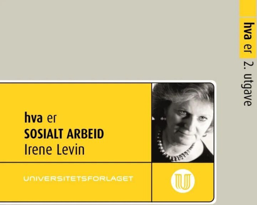 Hva er sosialt arbeid av Irene Levin
