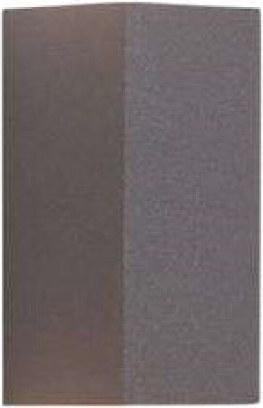 Sølvfarget utevegglampe Tavi med Bridgelux LED-lys