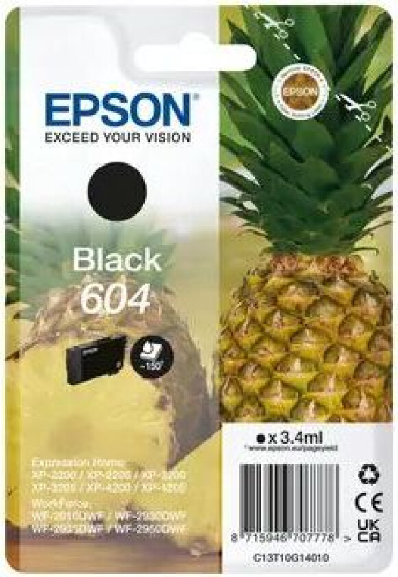 Ink Black 604 3.4ml