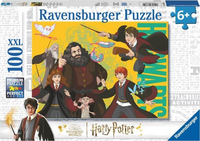 Puslespill 100 Harry Potter Med Venner Ravensburge