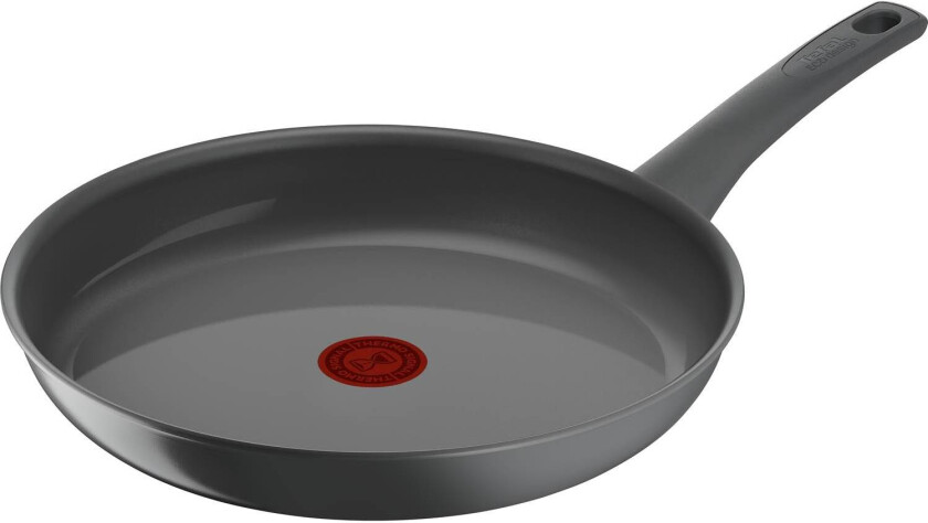 Renewal Stekepanne 24 cm Grå TEFAL