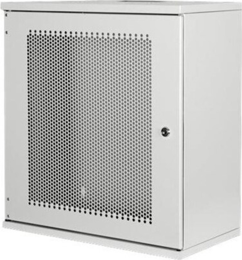 Professional DN-19-12U-S-PD - cabinet - 12U