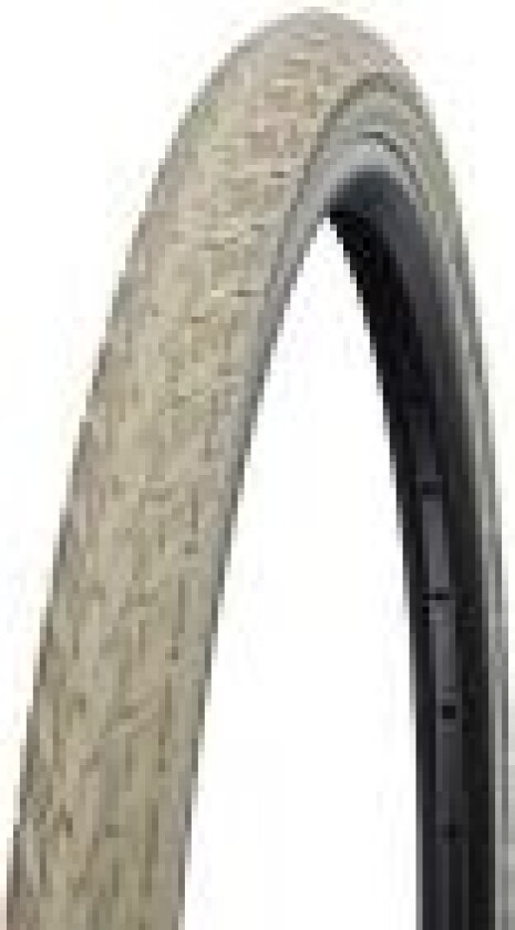 SCHWALBE Delta Cruiser Plus Standard dekk 700 x 35c 28 x 1,40 (37-622) Creme/Creme, Basilica, PunctureGuard, Ja