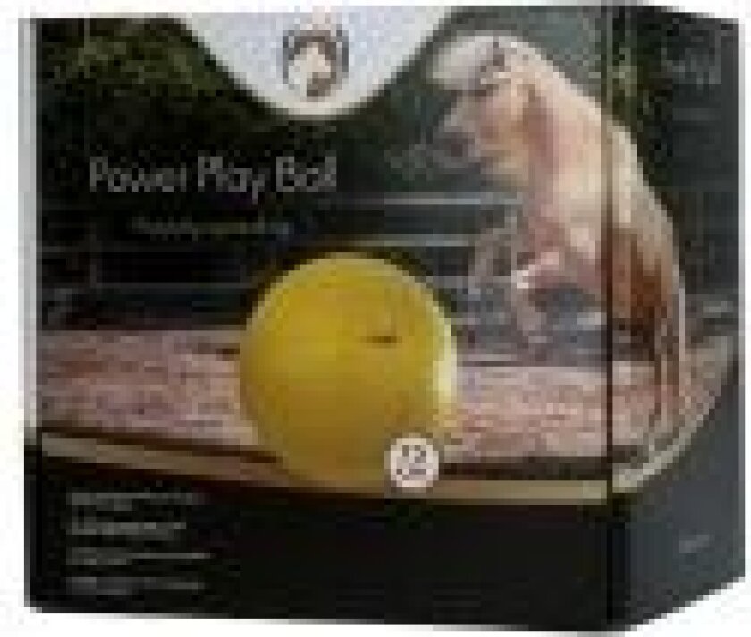 Power Play Ball 75cm 1 st