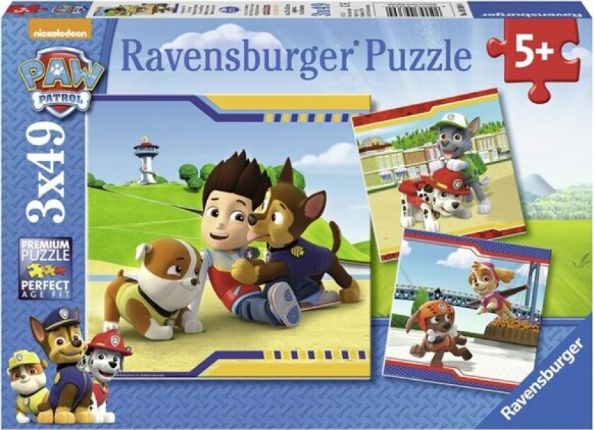 Paw Patrol Fury Heroes 3x49p
