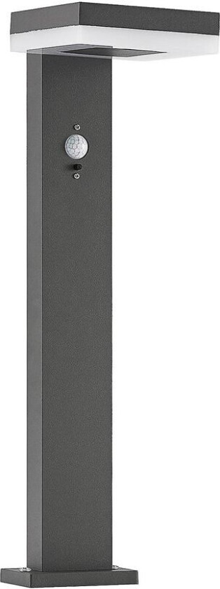 Laira LED-solcellesokkellampe, 50 cm