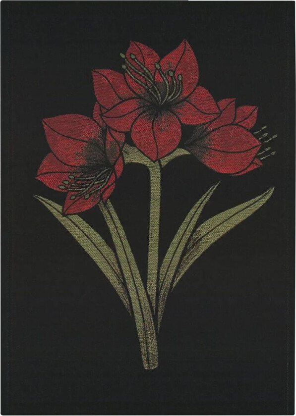 Kapamaryllis kjøkkenhåndkle 48x70 cm Svart-rød