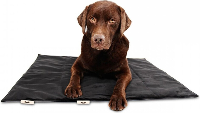 Bia Travel Outdoor Hundemadrass Svart (L)