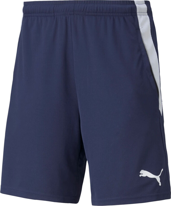 teamLIGA Training Shorts 2, fotballshorts, herre Peacoat-Puma White