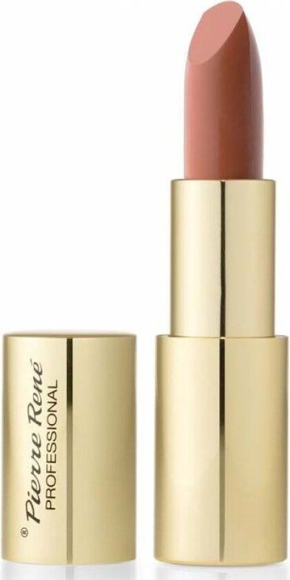 Pierre Rene Royal Mat Lipstick 38 Charm Of Mocha