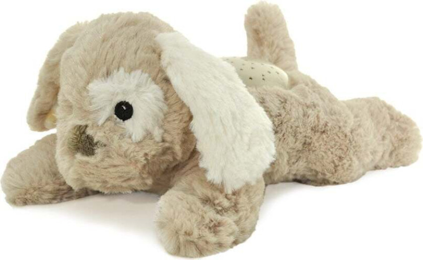 - Dream Buddies - Puppy ( CB7472-PP)