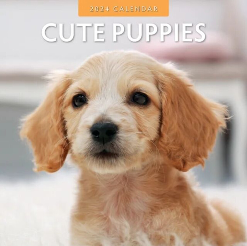 Cute Puppies 2024 Square Wall Calendar av Red Robin Publishing Ltd.