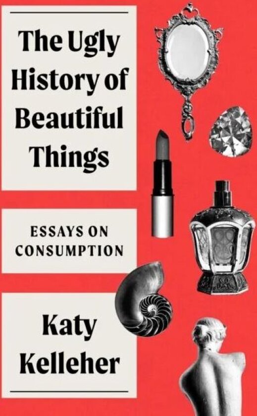 The Ugly History of Beautiful Things av Katy Kelleher