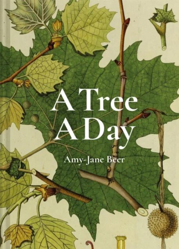 A Tree A Day av Amy-Jane Beer