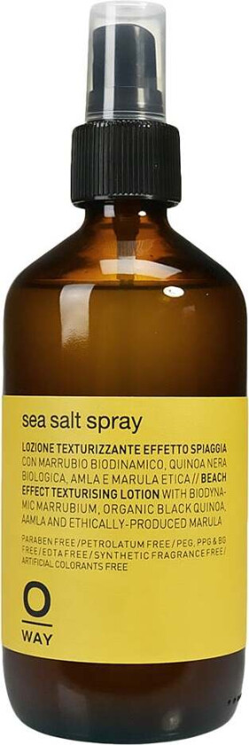 Sea Salt Spray 240 ml