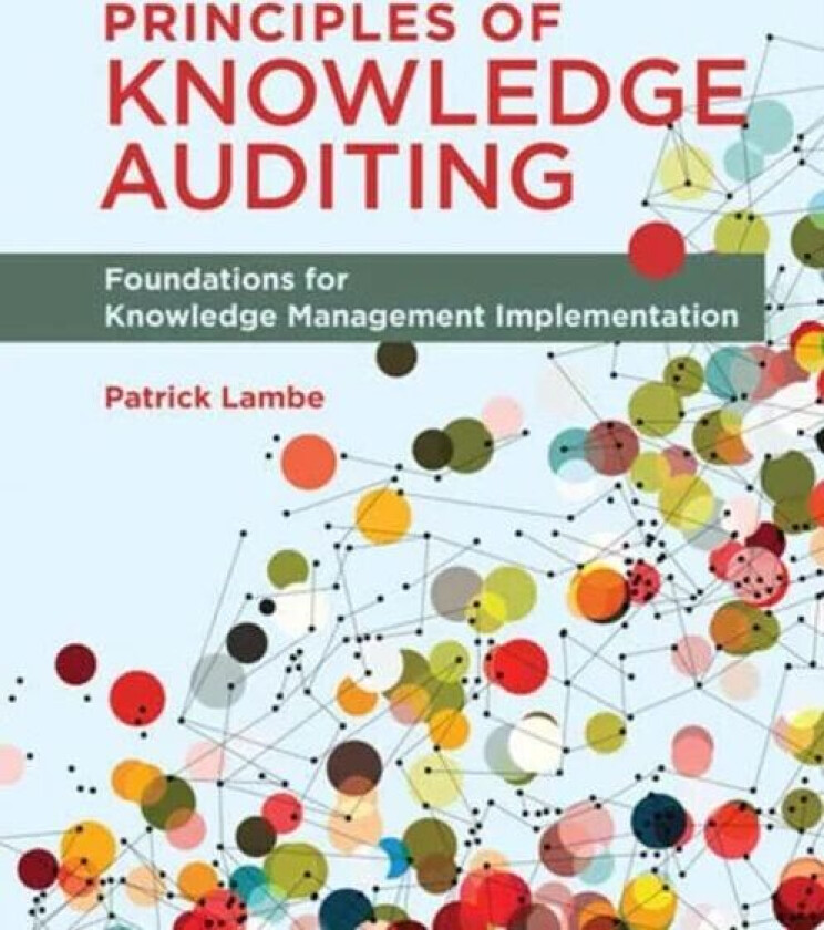 Principles of Knowledge Auditing av Patrick Lambe