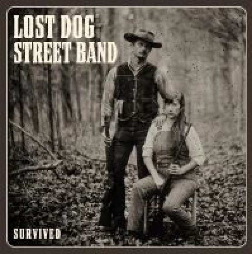 Lost Dog Street Band - Survived