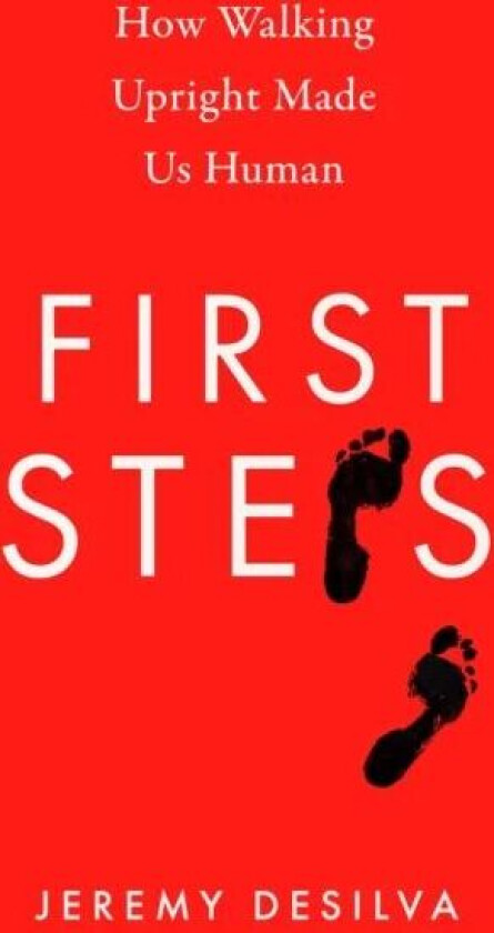 First Steps av Jeremy DeSilva