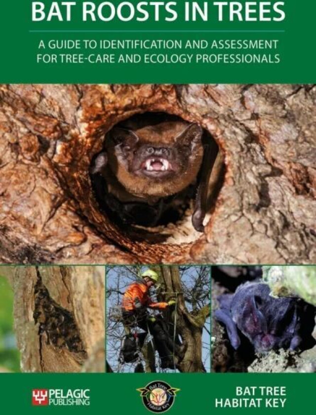 Bat Roosts in Trees av Bat Tree Habitat Key