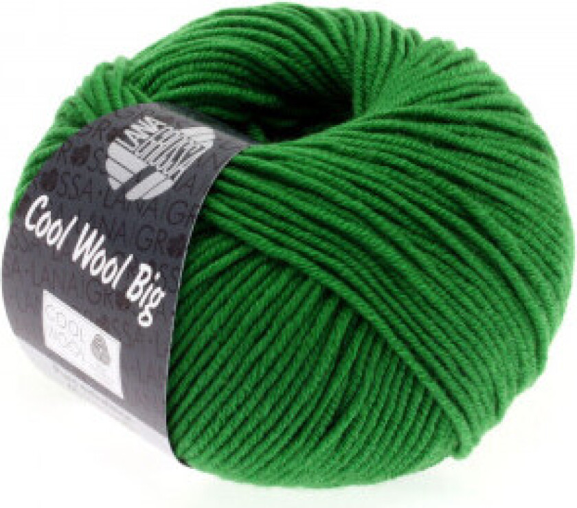 Cool Wool Big Garn 939