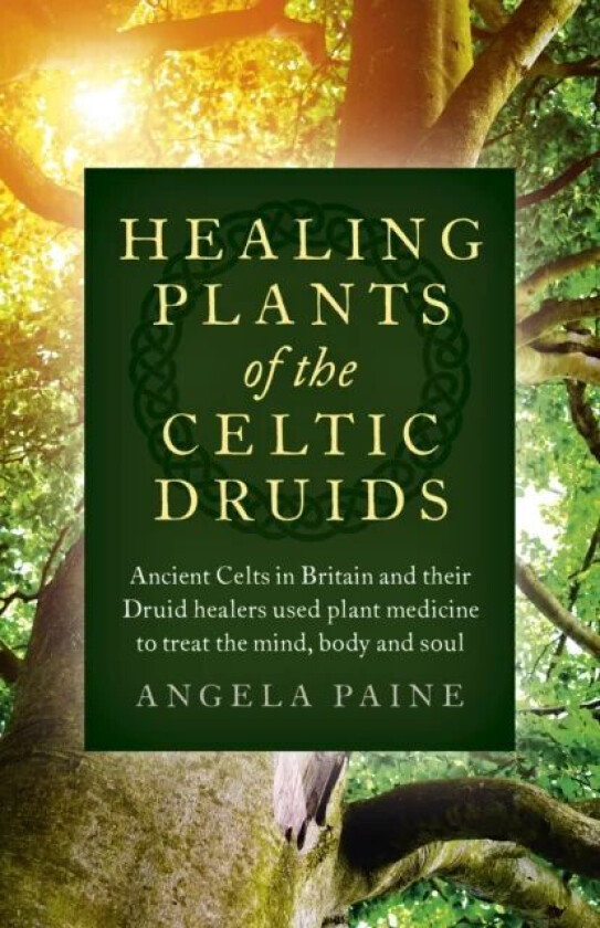 Healing Plants of the Celtic Druids - Ancient Celts in Britain and their Druid healers used plant me av Angela Paine