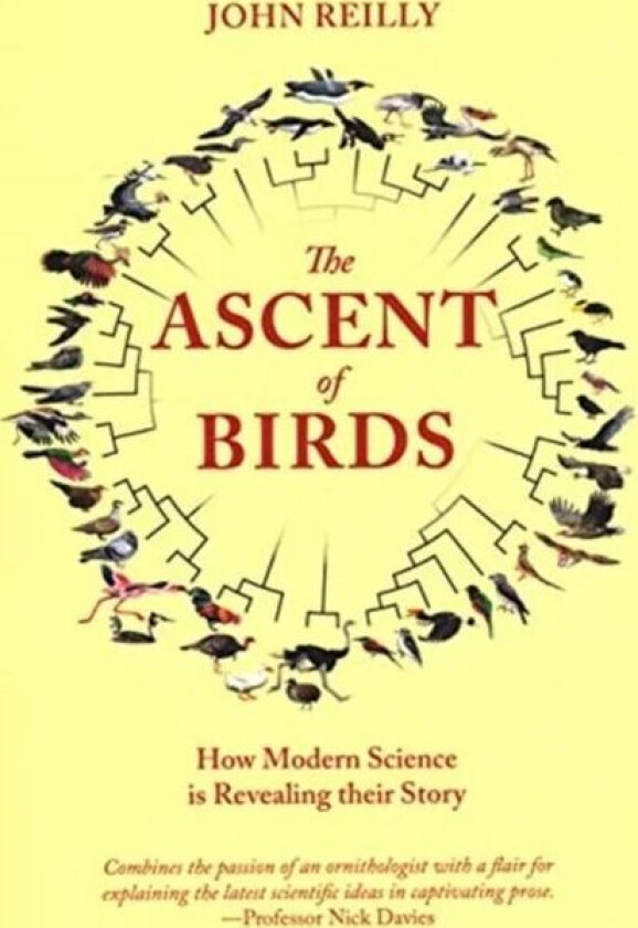 The Ascent of Birds av John Reilly