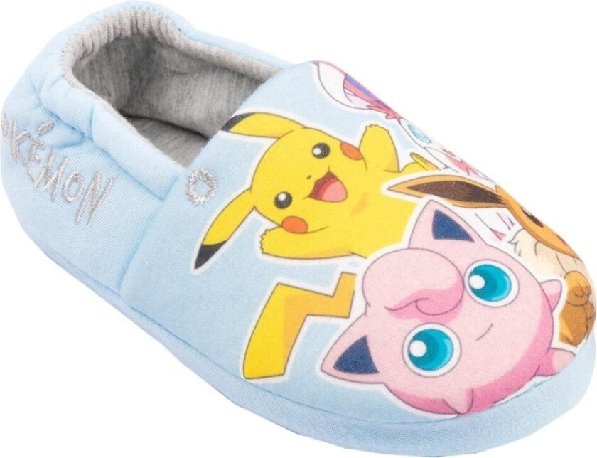 Pokemon Girls Slippers