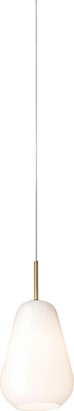 Anoli 1 Small Nordic Gold / Opal White