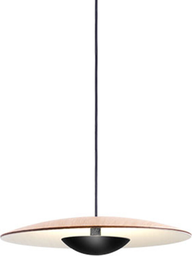 Ginger 20 - Oak, White