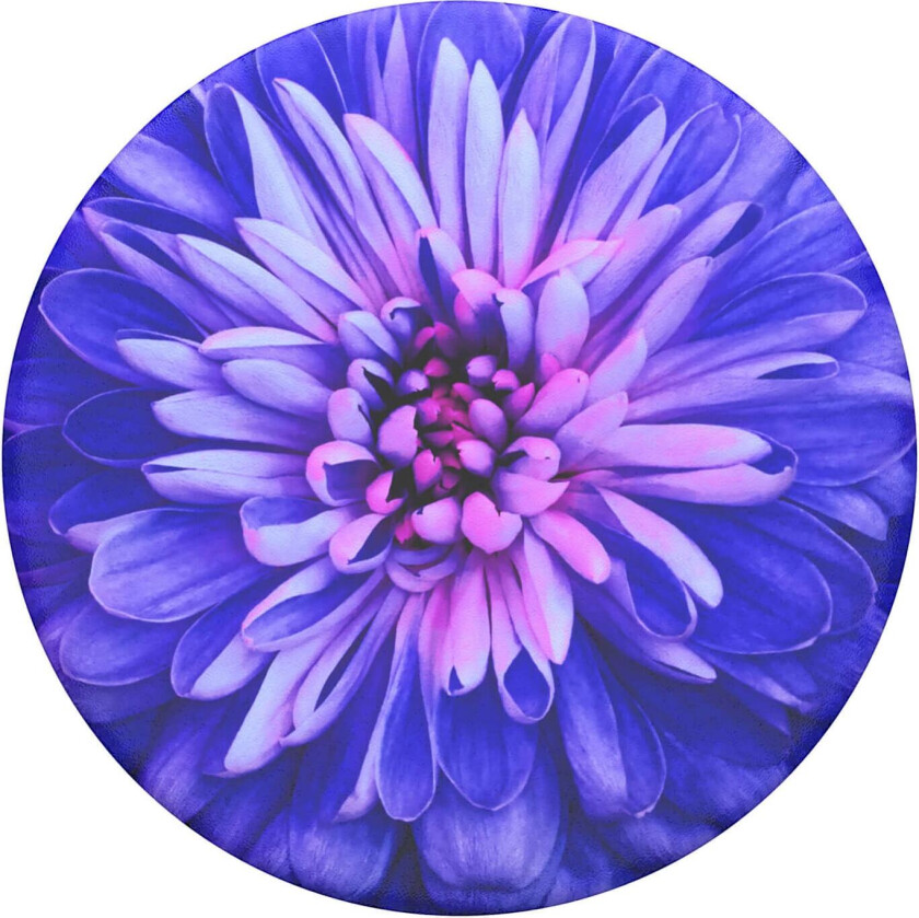 PopTop utskiftbar topp til mobilgrep (Be a Dahlia)