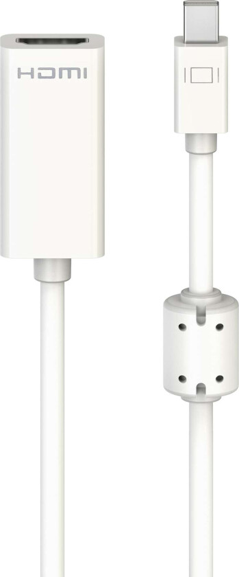 Mini DisplayPort adapter