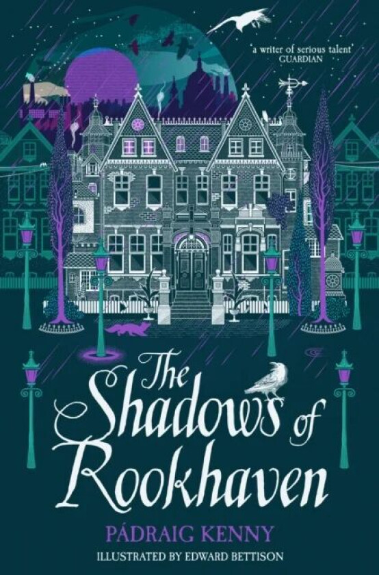 The Shadows of Rookhaven av Padraig Kenny