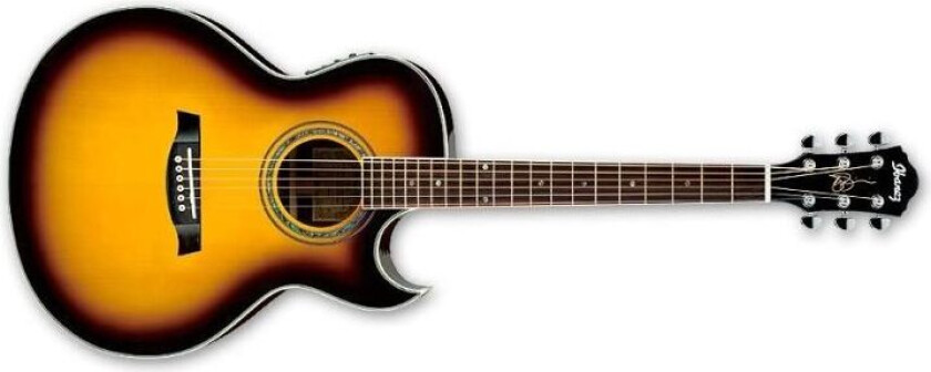 Jsa5-Vb Westerngitar Js