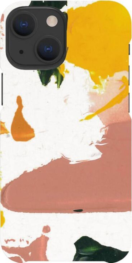 A Good Cover iPhone 13 Pro Max deksel (Color Splash)