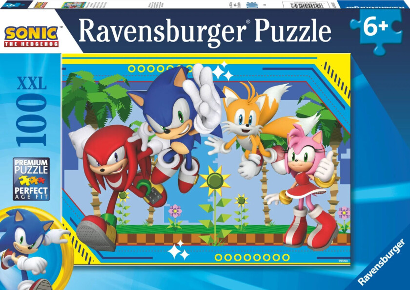 Sonic The Hedgehog 100pc